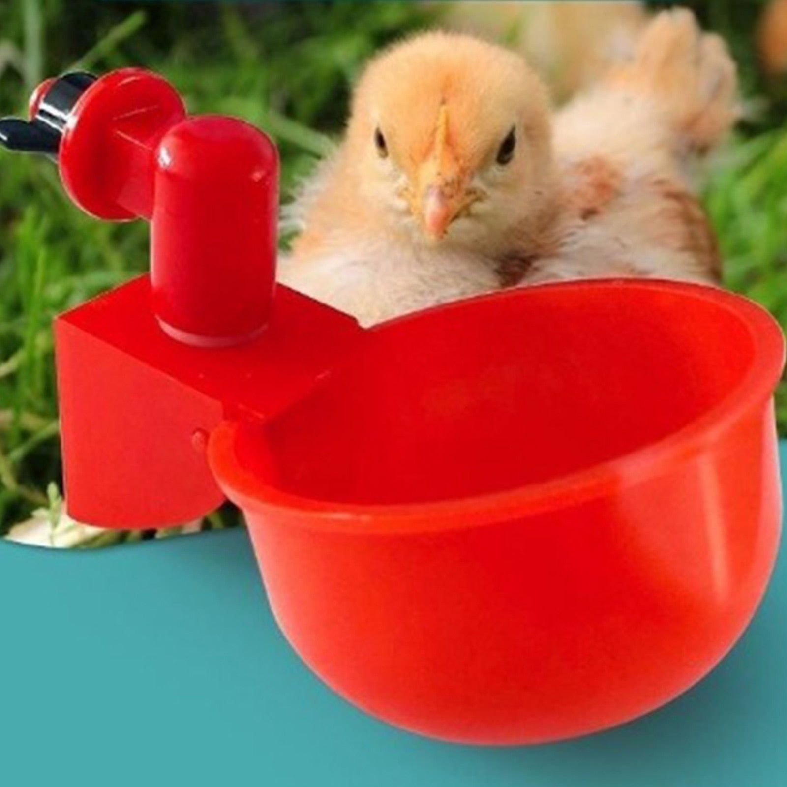 Système d'Alimentation en Eau Automatisé pour Poulaillers avec Détection de Niveau