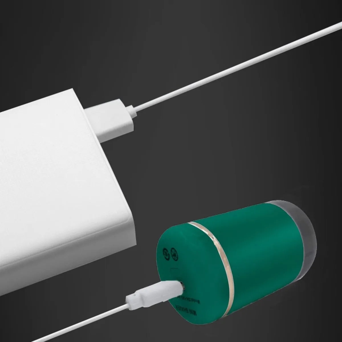 Rasoir Portable avec Chargement USB