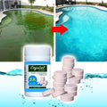 Capsule pour Nettoyer et Clarifier les Piscines - Pastilles Anti-Eau Verte