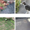Tapis de Protection Anti-Animaux pour Jardin - PetShield