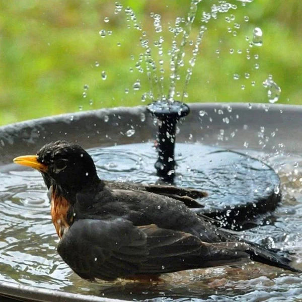 Fontaine pour Oiseaux avec Panneau Solaire - Décoration de Jardin