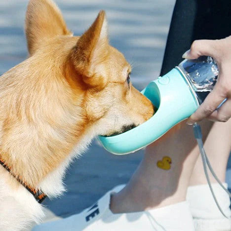 Gourde Portable pour Animaux 4 en 1 - PetWater