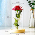 Lampe Rose Éternelle sous Cloche en Verre - BloomLight