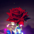 Lampe Rose Éternelle sous Cloche en Verre - BloomLight