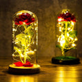 Lampe Rose Éternelle sous Cloche en Verre - BloomLight