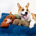 Jouet à Mâcher en Peluche pour Chiens Solide et Durable