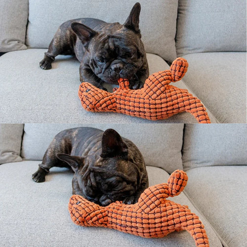 Jouet à Mâcher en Peluche pour Chiens Solide et Durable