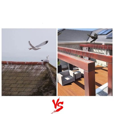 Pics Anti-Oiseaux pour Toiture en Acier Inoxydable - 12 pièces