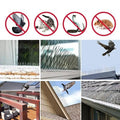 Pics Anti-Oiseaux pour Toiture en Acier Inoxydable - 12 pièces