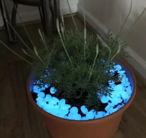 Pierres Magiques pour Jardin - Magic Stone