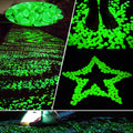 Pierres Magiques pour Jardin - Magic Stone