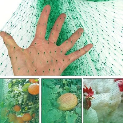 Filet de Protection Anti-oiseaux pour Jardin et Plantes