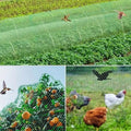 Filet de Protection Anti-oiseaux pour Jardin et Plantes