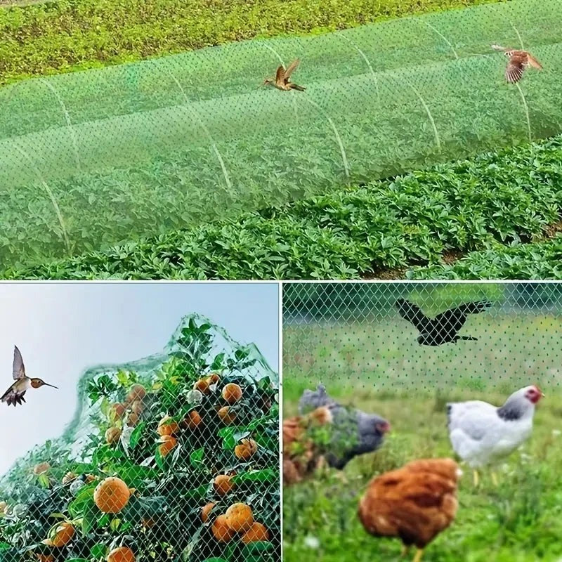 Filet de Protection Anti-oiseaux pour Jardin et Plantes