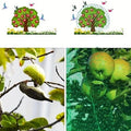 Filet de Protection Anti-oiseaux pour Jardin et Plantes