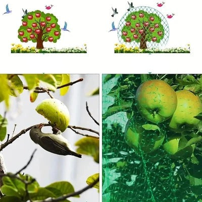 Filet de Protection Anti-oiseaux pour Jardin et Plantes