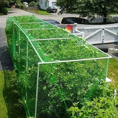 Filet de Protection Anti-oiseaux pour Jardin et Plantes
