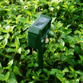 Répulsif Solaire Anti-Animaux et Nuisibles Ultra-Sonique Étanche - PestFree