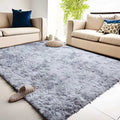 Tapis Moderne en Peluche Douce pour Salon