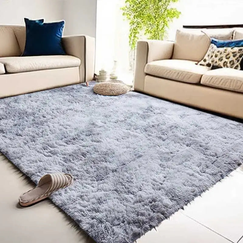 Tapis Moderne en Peluche Douce pour Salon