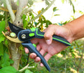 Sécateur Professionnel pour Jardinage