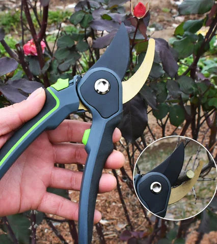 Sécateur Professionnel pour Jardinage