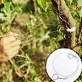 Scie à Fil d'Acier - Wood Cutter