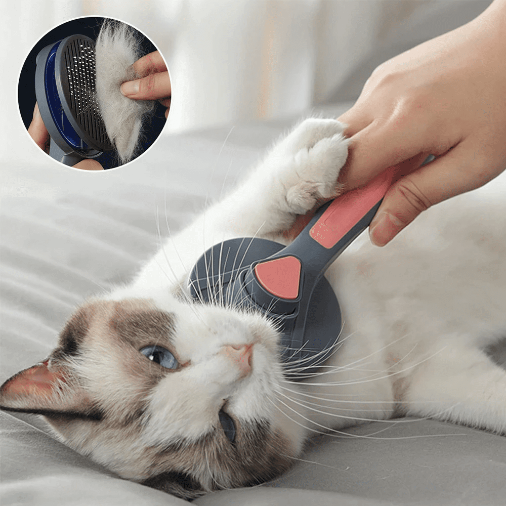 brosse pour enlever les poils de chien, brosse anti-poils de chat, dispositif anti-poils de chien, brosse anti-poils de chien, dispositif anti-poils de chat, brosse pour enlever les poils de chat, dispositif anti-poils pour vêtements, dispositif anti-poils pour animaux, meilleur dispositif anti-poils pour animaux, brosse anti-poils shopee, brosse anti-poils pour vêtements, brosse anti-poils pour chat