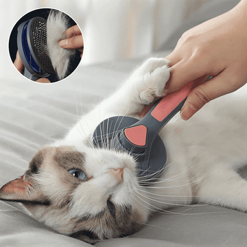 brosse pour enlever les poils de chien, brosse anti-poils de chat, dispositif anti-poils de chien, brosse anti-poils de chien, dispositif anti-poils de chat, brosse pour enlever les poils de chat, dispositif anti-poils pour vêtements, dispositif anti-poils pour animaux, meilleur dispositif anti-poils pour animaux, brosse anti-poils shopee, brosse anti-poils pour vêtements, brosse anti-poils pour chat