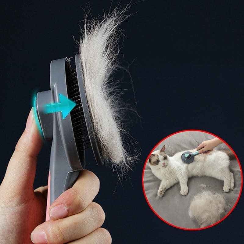 brosse pour enlever les poils de chien, brosse anti-poils de chat, dispositif anti-poils de chien, brosse anti-poils de chien, dispositif anti-poils de chat, brosse pour enlever les poils de chat, dispositif anti-poils pour vêtements, dispositif anti-poils pour animaux, meilleur dispositif anti-poils pour animaux, brosse anti-poils shopee, brosse anti-poils pour vêtements, brosse anti-poils pour chat