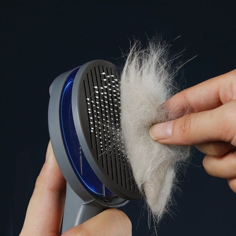 brosse pour enlever les poils de chien, brosse anti-poils de chat, dispositif anti-poils de chien, brosse anti-poils de chien, dispositif anti-poils de chat, brosse pour enlever les poils de chat, dispositif anti-poils pour vêtements, dispositif anti-poils pour animaux, meilleur dispositif anti-poils pour animaux, brosse anti-poils shopee, brosse anti-poils pour vêtements, brosse anti-poils pour chat