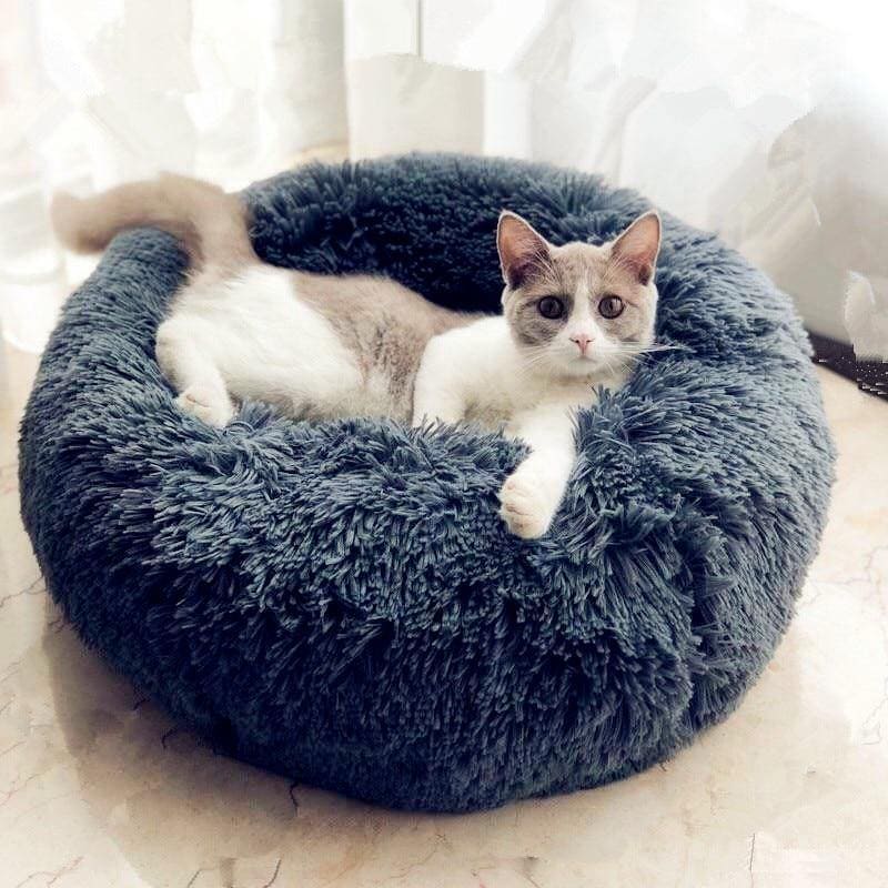 lits pas chers pour chats, lit pour chat, panier pour chat, lit pour grand chien, panier pour chien, lit pour animal, panier pour chat, lit pour chien, lit pour chien, panier pour chien, lit pour animal, lit nuage, panier nuage pour animal, lit nuage pour animal, panier nuage, panier pour petit chien prix, panier pour chien pas cher livraison gratuite, lits de luxe pour animaux, lits robustes pour grand chien