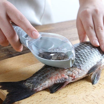 écailleur à poisson, enlever les écailles de poisson, retirer les écailles de poisson, écailleur pour poisson, comment enlever les écailles de poisson