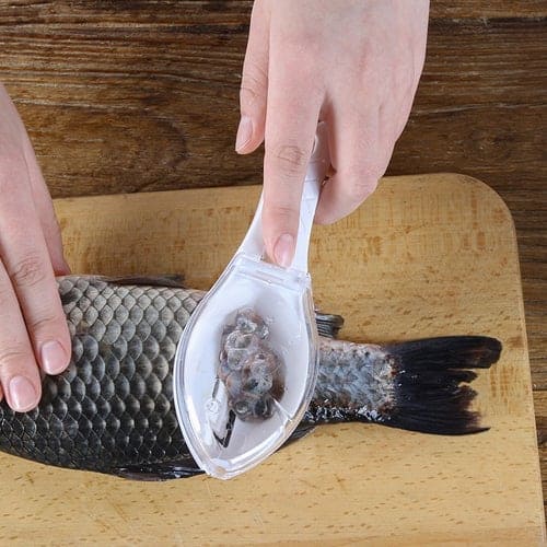écailleur à poisson, enlever les écailles de poisson, retirer les écailles de poisson, écailleur pour poisson, comment enlever les écailles de poisson