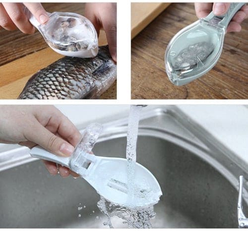 écailleur à poisson, enlever les écailles de poisson, retirer les écailles de poisson, écailleur pour poisson, comment enlever les écailles de poisson