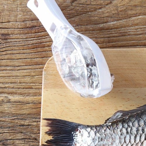 écailleur à poisson, enlever les écailles de poisson, retirer les écailles de poisson, écailleur pour poisson, comment enlever les écailles de poisson