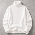 Pull Homme Col Montant Maille Slim Anti-Bouloches 7